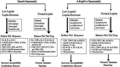 Leptin Functions in Infectious Diseases